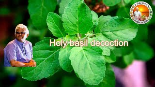 Holy Basil Decoction Tulasi Decoction Dr Khadar Dr Khadar Lifestyle