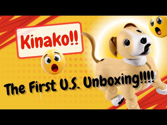 Unboxing the VERY FIRST official U.S. aibo Kinako Edition!!! A