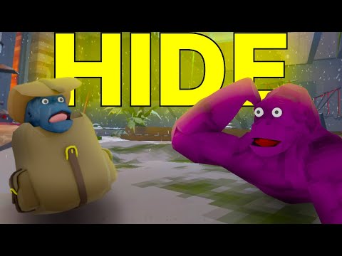 I Played HIDE AND SEEK In Animal Company VR