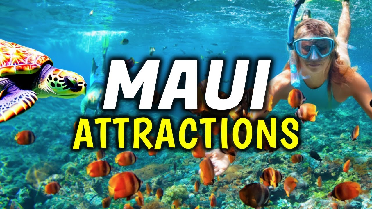 Top 10 To Do In Maui, Hawaii (Best Tours, Beaches & More) -