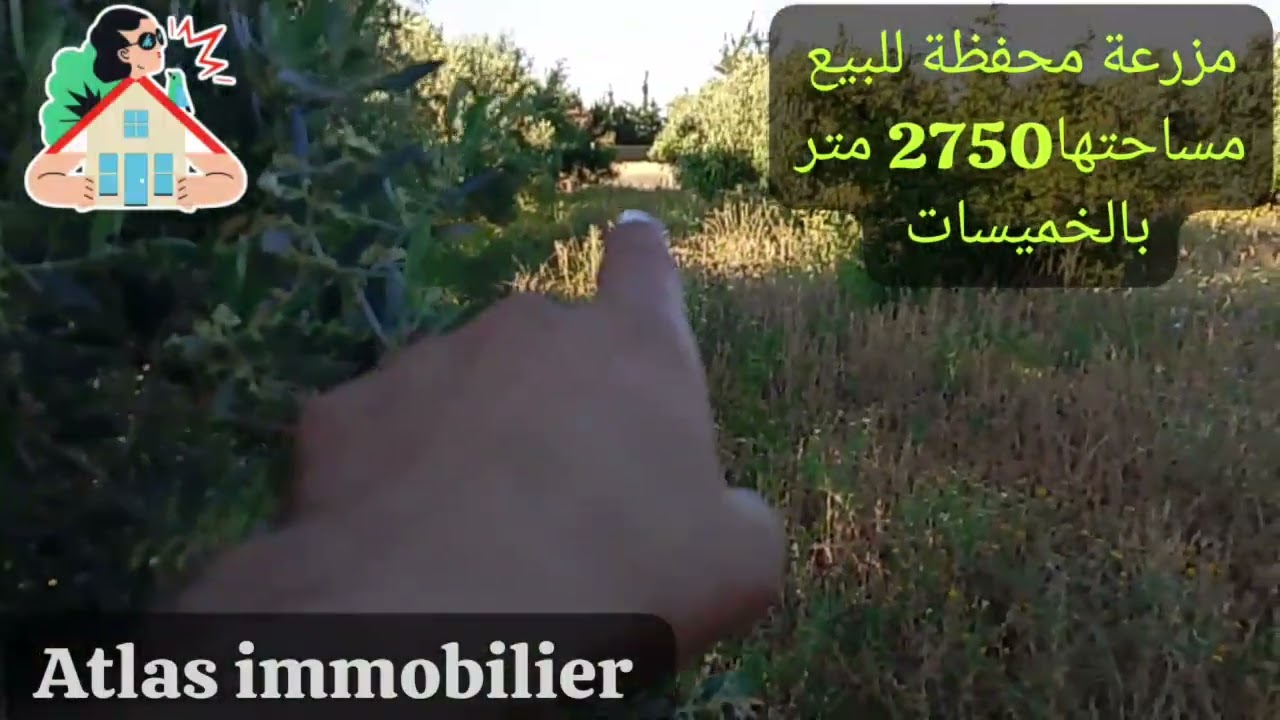 فرمة صغيرة محفظة للبيع 2750 متر ، مجهزة 🏠 بالسكن 80 متر بالرخصة و تصميم البناء ، تمن البيع 70 مليون