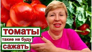 видео: Какие ТОМАТЫ больше сажать не буду? картинка: Какие ТОМАТЫ больше сажать не буду?