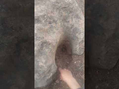 اشارة نصف جرن على صخرة حاضنة شاهدوا