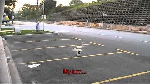 Beginner First Hover on Align T-Rex 500