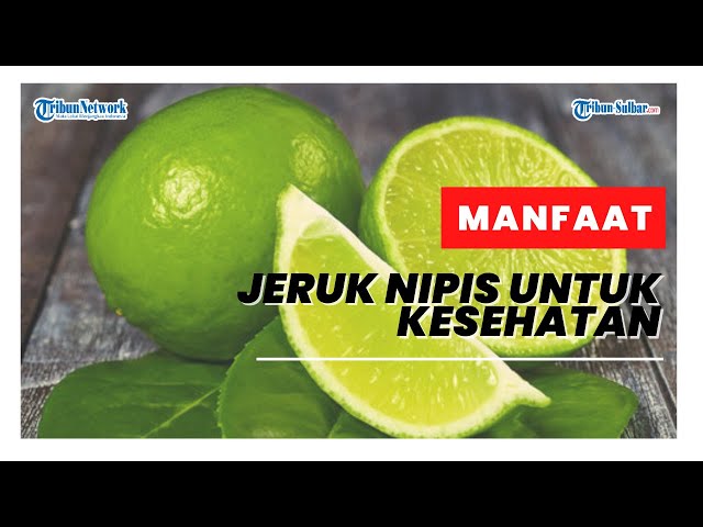 TRIBUN HEALTH - Manfaat Jeruk Nipis Untuk Kesehatan class=