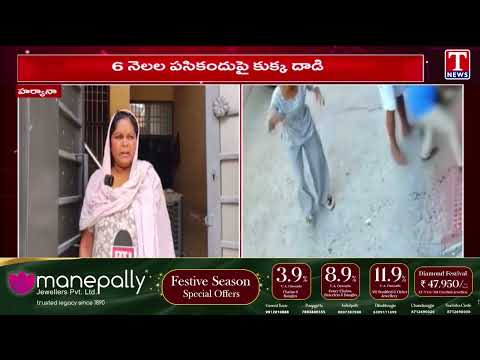 6-Month-Old Baby Attacked by Dog in Haryana | Shocking Incident | T News
