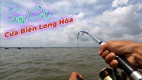 Ra Cửa Biển Câu Cá Dính Đủ Thứ Cá | Gia Đình Cần Giờ .305 |