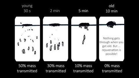 Stick or Splash? Thixotropy Decides!