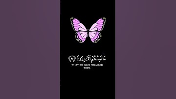 حالات وتس اب | قران كريم مريح للقلب و الاعصاب😌❤️ |تلاوة خاشعة🌾 | ستوريات #قران_كريم
