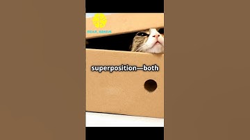 Schrödinger’s Cat: Alive, Dead, or Both? Quantum Paradox Explained! #scienceshorts #schrodingerscat