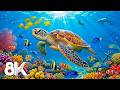 Dive Into the Mesmerizing Underwater Realm - Marvel at Sea Animals in the Best 8K UHD Aquarium #22
