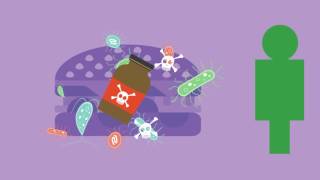 Introduction to Foodborne Illness and Outbreaks
