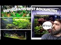 Fish Tank Setups and Ideas - Instagram’s Best Aquariums and Aquascapes