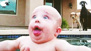 TRY NOT TO LAUGH - Best funny video about kids | Funny Vines | #24-ZULUkids