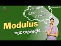 Cryptography Mathematics in Sinhala: Modular Inverse, Exponentiation, GCD Explained 🔐