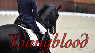 Youngblood || dressage music video