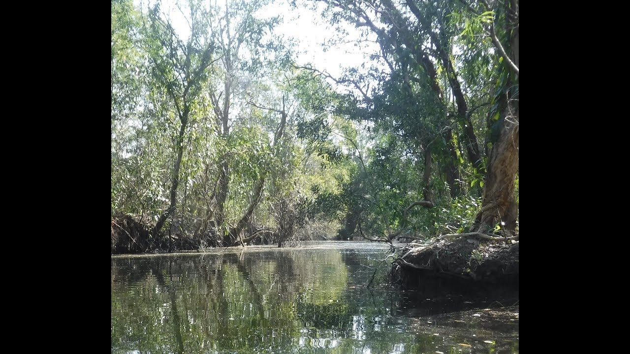 Kayaking Sunjewel Canal off lake Currimundi . Sunsine Coast QLD