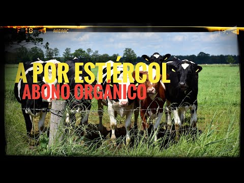 A por estiércol para el huerto!! 💩 El mejor ABONO ORGÁNICO para las plantas 🪴