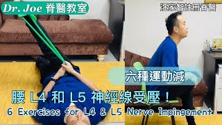 腰及臀部痛、坐骨神經痛、腳指公麻痹、腿外側膝頭痛…..六種腰L4和L5神經線減壓運動[Eng Subtitles] 6 Exercises for L4 & L5 Nerve Impingement