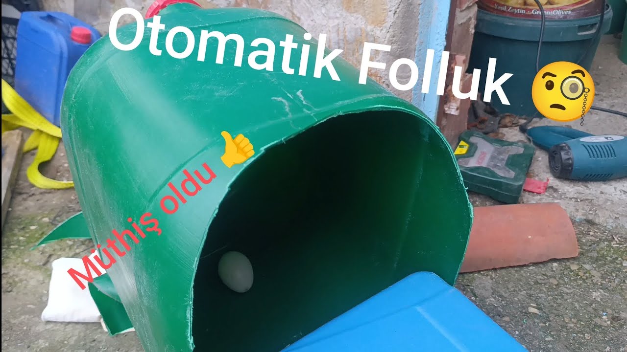 Otomatik tavuk folluğu yaptım. Tavuk yumurta yiyor 🤔