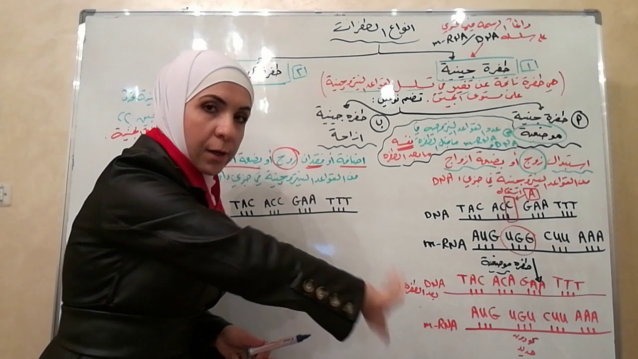 توجيهي/طفرات/الطفرة الجينية( الموضعية، الازاحة)