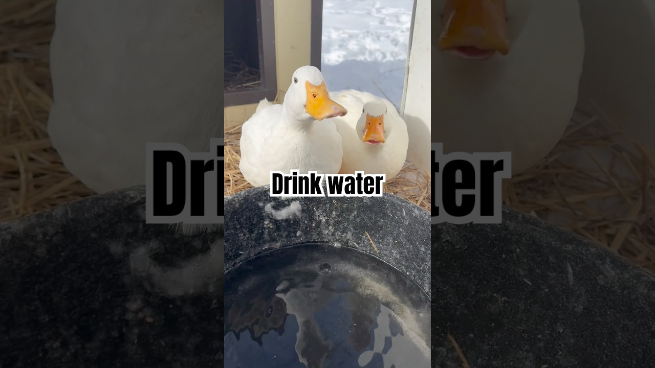 It’s time to drink some water