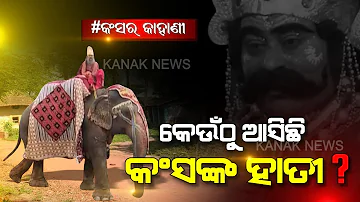 Elephant Come From Allahabad For Maharaja Kansa | Kanak News