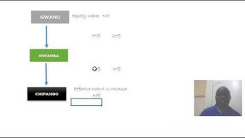 CA   Zambia Complex Group Structure Vertical