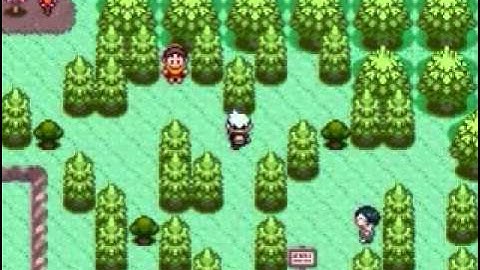 Pokemon Ruby Walkthrough Part 9 : Route 116 Training 2