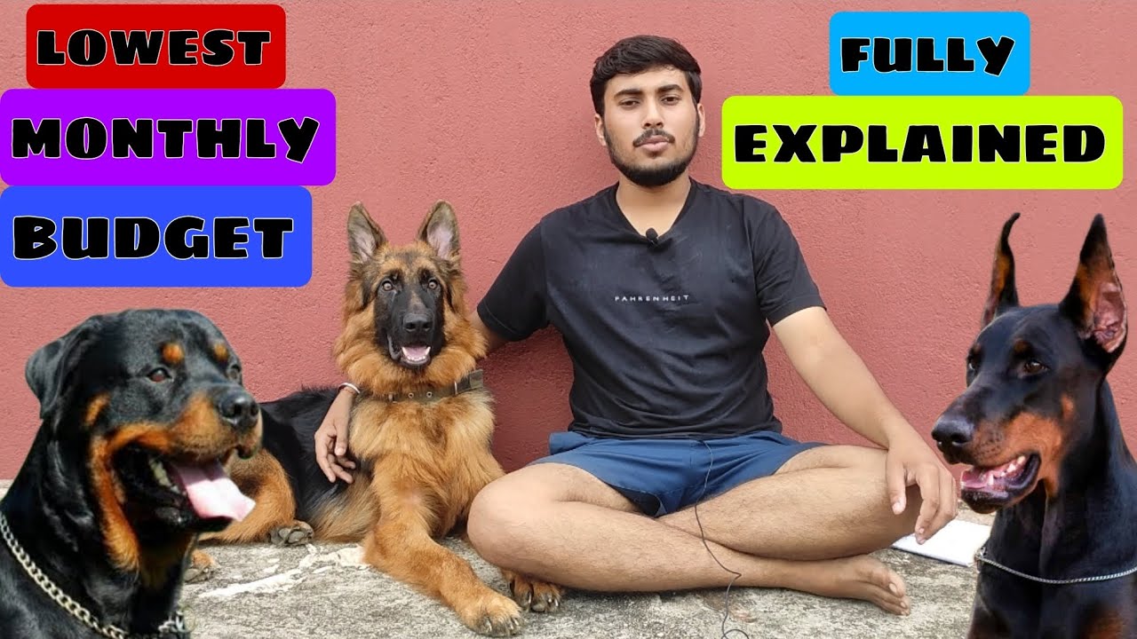 Lowest monthly budget / cost / expenses of german shepherd, rottweiler