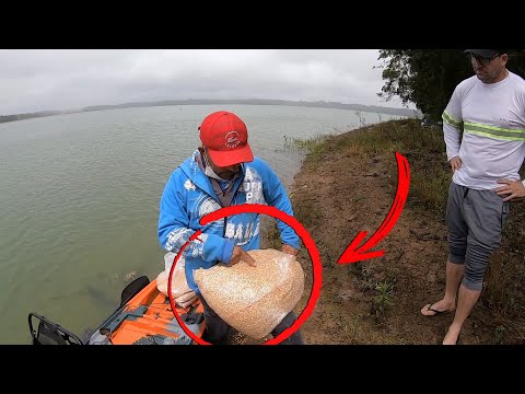 COMO ATRAIR AS GIGANTES CARPAS DA REPRESA PARA SUA CEVA!