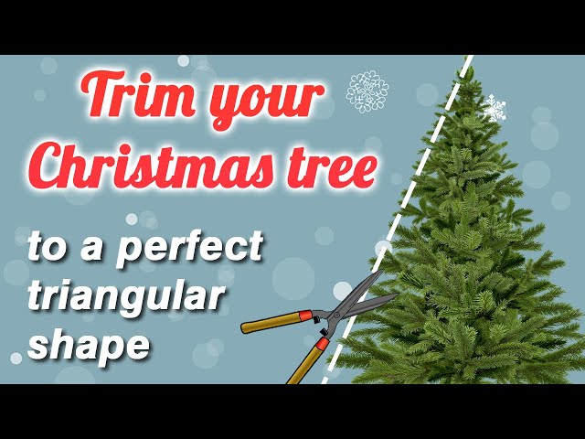 How to Shape Your Christmas Tree