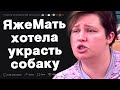 ЯжеМать хотела украсть собаку у глухой девушки