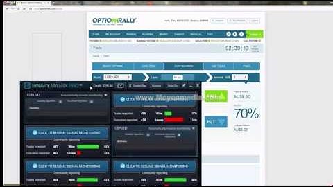 Binary Matrix Pro Review & More information