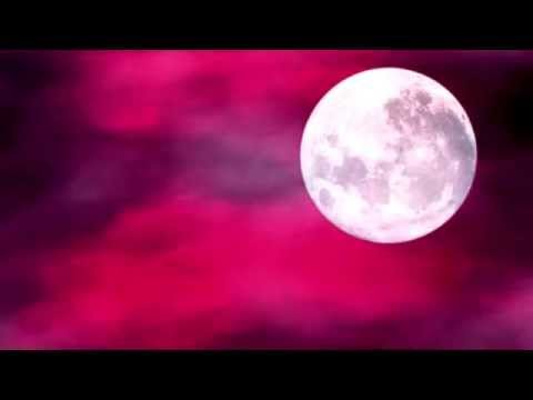 don francks and petula clark old devil moon