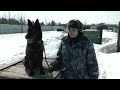 Журналисты телеканала &quot;Югра24&quot; о служебных собаках УФСИН