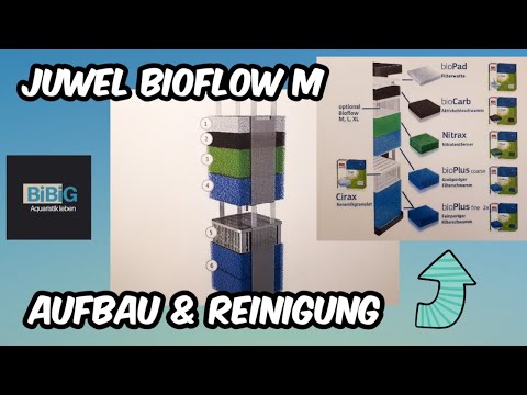 Mein Juwel Bioflow M Innenfilter | Aufbau & Reinigung | Aquariumtechnik | BiBiG