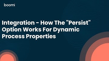 Integration - How The "Persist" Option Works For Dynamic Process Properties