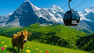 Stunning Views, Cable Car & Alpine Adventure! | Pfingstegg in Grindelwald