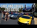 Billionaire hosted Cars and Coffee
