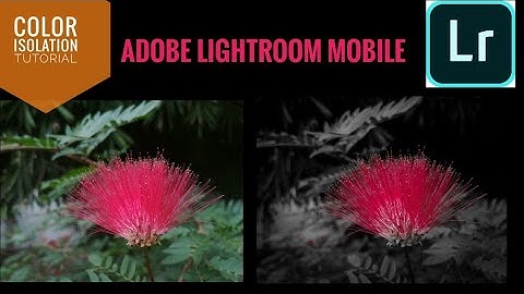 Color Isolation Tutorial on Adobe Lightroom Mobile