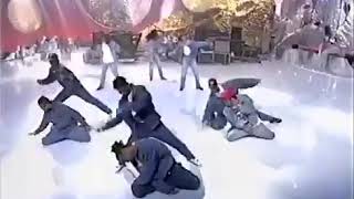 dbostv  Zoo