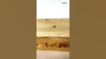 How To Remove Nails For Wood #shorts