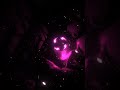 TIKI TIKI Slowed X QMIIR Salima Chica 