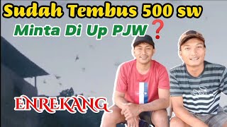 Download Lagu 🔴 RBW SUDAH 500 SARANG MINTA GANTI SUARA PJW OLD ☝️ SIMAK SAMPAI WALET PULANG @BayuArfianPB MP3