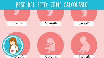 Quanto pesa un bambino a 30 settimane di gravidanza?