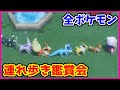 クリスマスに連れ歩く女の子いないから全ポケモン連れ歩く【ポケモンBDSP】