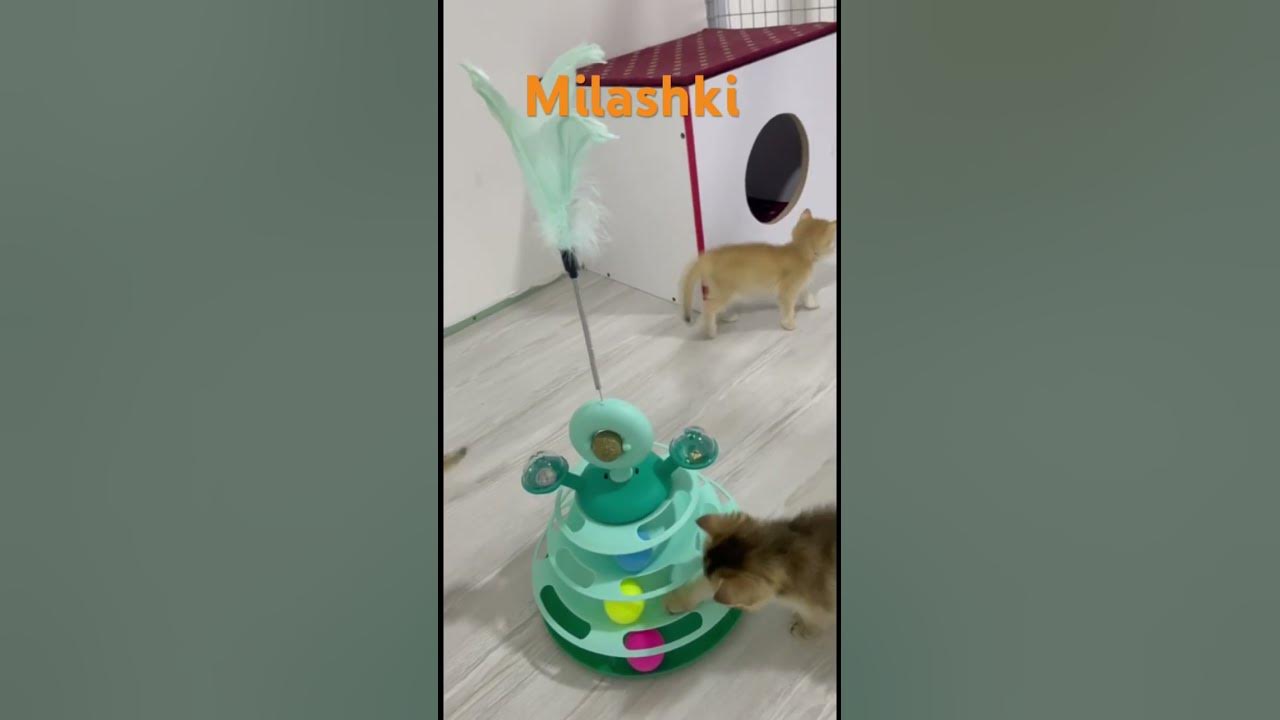 Milashki - YouTube