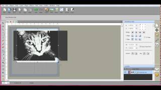 Using Simplify in SCAL4 to preserve blade life with detailed objects Brother ScanNCut Jen Blausey