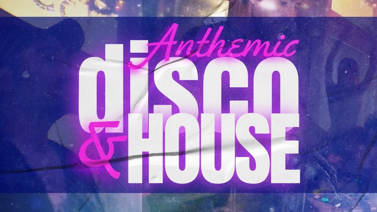 Nu Disco and House Mixed Live at Whirling Tiger | WannaDance DJs